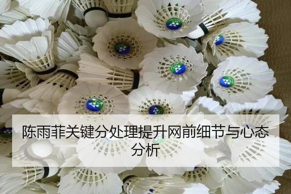陈雨菲关键分处理提升网前细节与心态分析